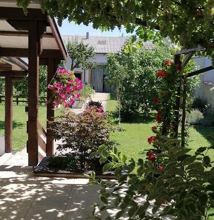 Ferienwohnung Maks Und Kris Sankt Andra am Zicksee ภายนอก รูปภาพ