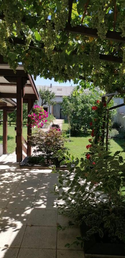 Ferienwohnung Maks Und Kris Sankt Andra am Zicksee ภายนอก รูปภาพ